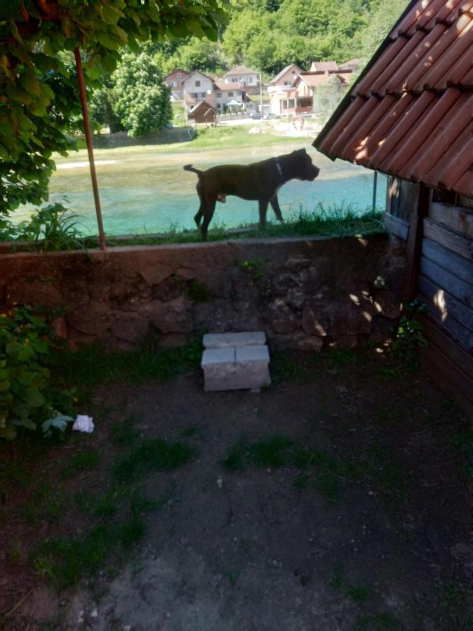 Apartament Alfa Kulen Vakuf Zewnętrze zdjęcie
